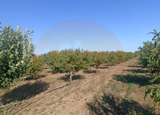 Продажа участка, 70 сот., село Владимировка, Виноградная улица