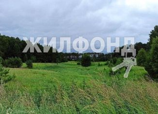 Продается земельный участок, 12 сот., село Красный Яр, Солнечная улица