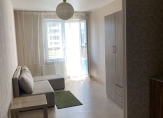 Сдам квартиру студию, 25 м2, Мурино, Петровский бульвар, 7, ЖК Ласточка