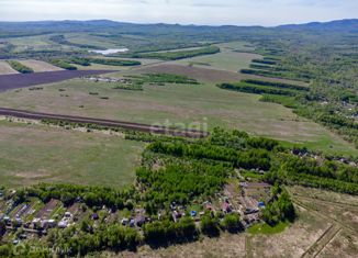 Продам участок, 40 сот., село Корсаково-1