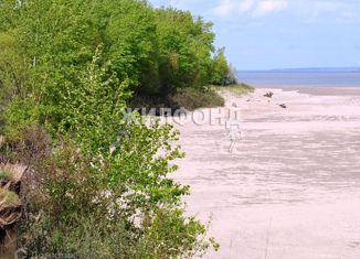 Продажа земельного участка, 1973 сот., село Красный Яр, улица Ленина, 33