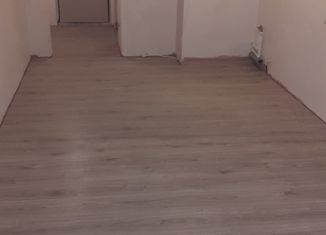 Квартира на продажу студия, 24.29 м2, Ломоносов, Михайловская улица, 51