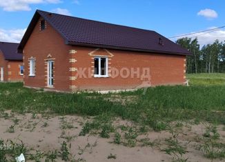 Дом на продажу, 100 м2, село Марусино, Ежевичная улица