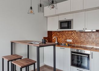 Продажа квартиры студии, 25.5 м2, Санкт-Петербург, проспект Народного Ополчения, 149, проспект Народного Ополчения