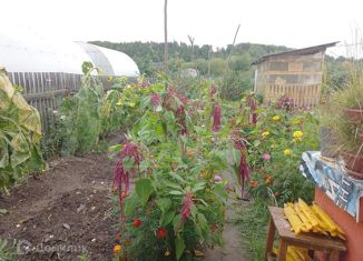 Продаю дом, 147.5 м2, село Вагай, Криушанская улица, 10