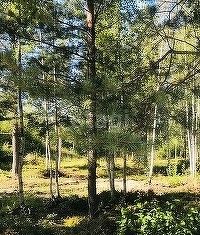 Участок на продажу, 13.19 сот., коттеджный посёлок Ириновка