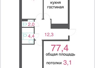 Продам двухкомнатную квартиру, 77.4 м2, Рязань, Быстрецкая улица, 18к2, ЖК Еврокласс