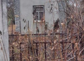 Продаю дом, 60 м2, поселок Персиановский, Персиановская улица