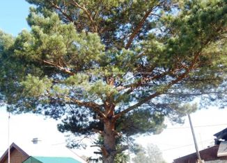 Продажа дома, 36 м2, село Верхотомское