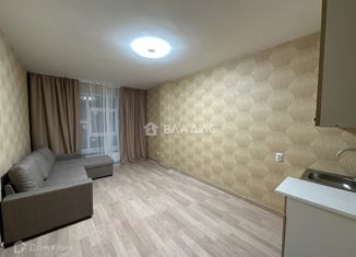 Сдам в аренду квартиру студию, 23.3 м2, Мурино, улица Шоссе в Лаврики, 67, ЖК Муринское-1