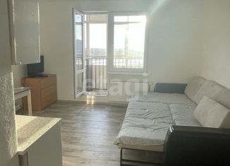 Продаю квартиру студию, 24.9 м2, село Усады, Счастливая улица, 6, ЖК Счастливый