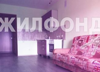 Продается 1-комнатная квартира, 26.3 м2, Томск, Нефтяная улица, 15, ЖК Нефтяной