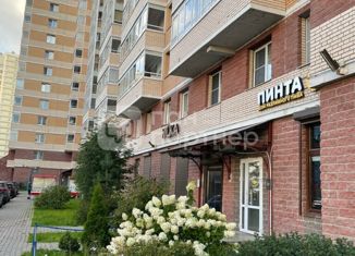 Квартира на продажу студия, 23.4 м2, Санкт-Петербург, Туристская улица, 20к2