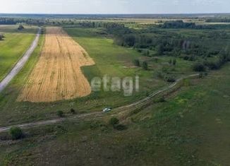 Продается земельный участок, 11.33 сот., село Салаирка