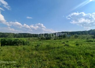 Продается земельный участок, 25 сот., деревня Карачево