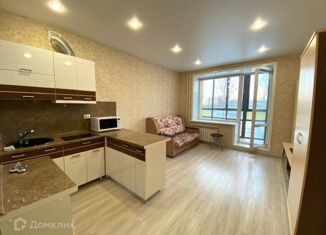 Сдаю квартиру студию, 25.4 м2, Северодвинск, улица Дзержинского, 3