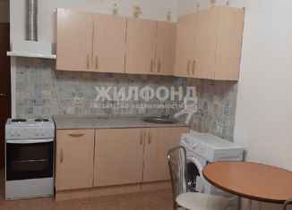 Сдаю в аренду 1-комнатную квартиру, 25 м2, Новосибирск, Березовая улица, 19, Березовая улица