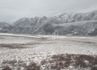 Продажа участка, 593.8 сот., село Иня