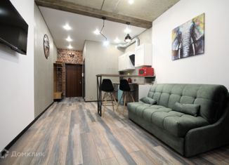 Сдам в аренду квартиру студию, 27 м2, Санкт-Петербург, Московский проспект, 183-185Ак8Б, ЖК Граф Орлов