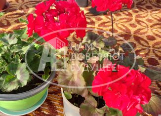 Продам дом, 91.4 м2, деревня Оленье Болото, Зелёная улица, 2