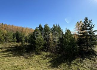 Продается участок, 15 сот., село Черновское, Ягодная улица, 16