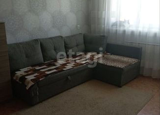 Продажа однокомнатной квартиры, 28.4 м2, сельский посёлок Новинки, Ботаническая улица, 6