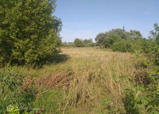 Участок на продажу, 25 сот., село Ступино, улица Ленина, 55/3