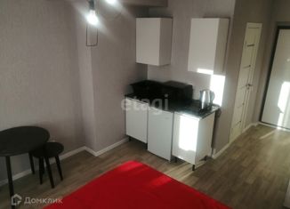 Квартира в аренду студия, 22 м2, посёлок Садовый, микрорайон Околица, 1