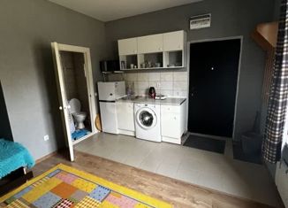 Дом в аренду, 25 м2, Ростов-на-Дону, Криворожская улица, 25, Ворошиловский район