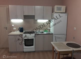 Сдам в аренду квартиру студию, 25 м2, Санкт-Петербург, проспект Королёва, 59к1, ЖК Граффити