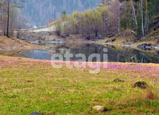 Продажа участка, 44.6 сот., село Турочак