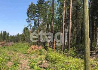 Продажа участка, 6 сот., село Горячинск