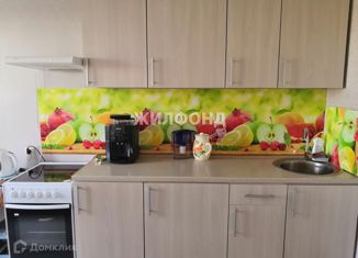 Продаю 1-комнатную квартиру, 48 м2, Новосибирск, улица Александра Чистякова, 6, метро Студенческая