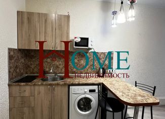 Сдаю в аренду однокомнатную квартиру, 25 м2, Новосибирск, микрорайон Горский, 67
