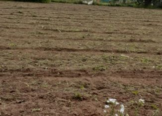 Продаю земельный участок, 12 сот., деревня Гибкино