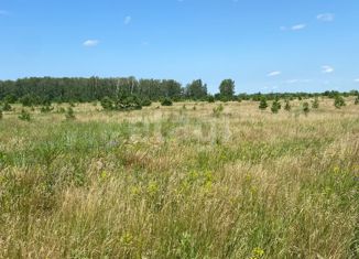 Продам земельный участок, 800 сот., посёлок Мирный, Набережная улица