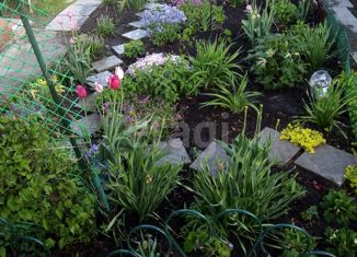 Продается дом, 45 м2, поселок Михайловский, садовое некоммерческое товарищество Север-1, 18А