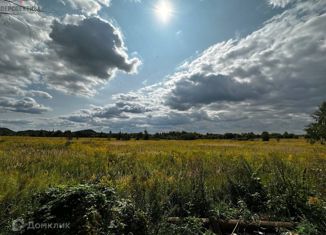 Продаю участок, 20 сот., деревня Большие Озерки