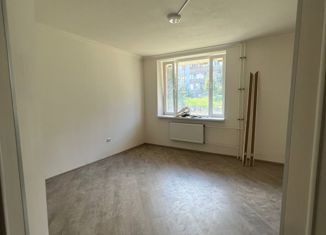 Однокомнатная квартира на продажу, 48.7 м2, Шлиссельбург, улица Чекалова, 47