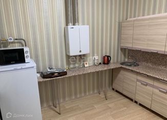 Сдается в аренду 1-комнатная квартира, 31 м2, село Ямное, Ягодная улица, 14