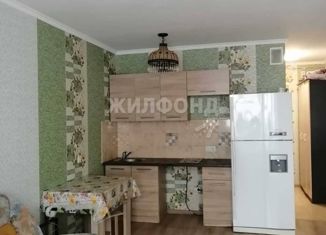 Квартира на продажу студия, 27.5 м2, Новосибирск, улица Забалуева, 90
