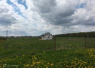 Продаю дом, 30 м2, деревня Большая Каменка, Луговая улица