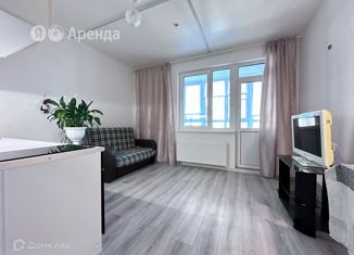 Квартира в аренду студия, 22 м2, Санкт-Петербург, Среднерогатская улица, 16к4, Московский район