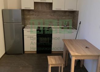 Аренда квартиры студии, 22 м2, Мурино, Ручьёвский проспект, 15, ЖК Айди Мурино