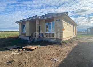 Дом на продажу, 112 м2, деревня Чернышевка, Янтарная улица