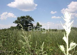 Продаю участок, 18 сот., село Нижний Ольшанец