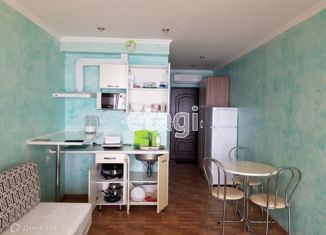 Продается квартира студия, 25.5 м2, поселок Семидворье, микрорайон Александрийская дача, 26