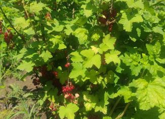 Продам дом, 42 м2, село Каштаны, улица Стрельникова, 33