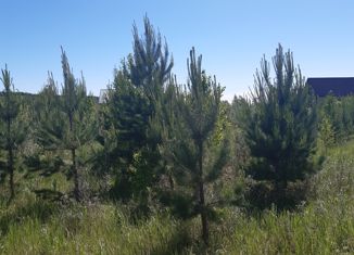 Продажа участка, 10 сот., СНТ Красный Яр, 3-я улица