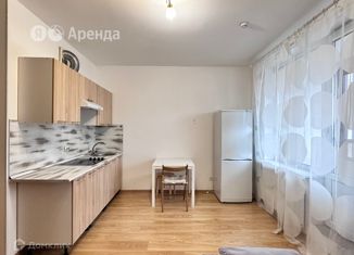 Аренда квартиры студии, 24 м2, деревня Кудрово, Европейский проспект, 3